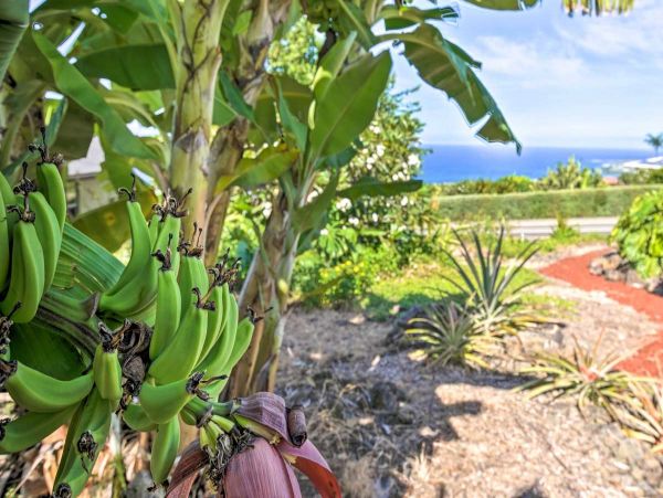 Kailua Kona Home 990103
