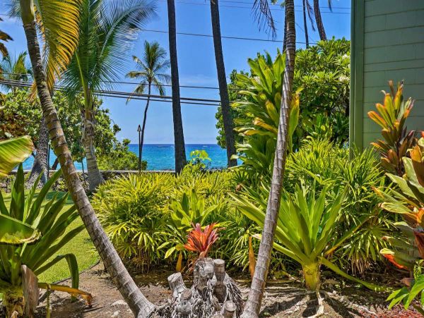 Kailua Kona Condo 990129