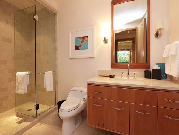 Kapalua Home 990143