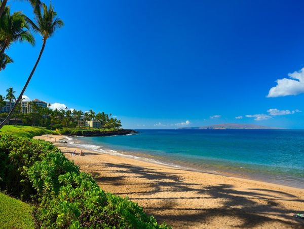 Wailea Home 990151
