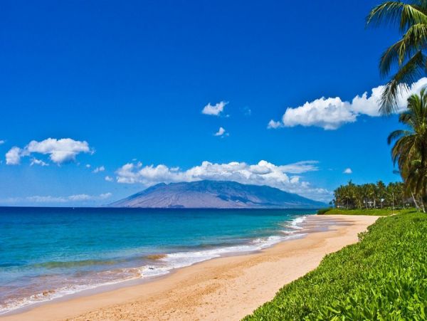 Wailea Home 990153
