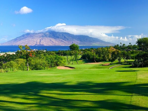 Wailea Home 990153