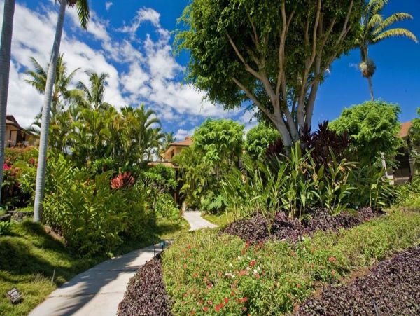 Wailea Home 990162