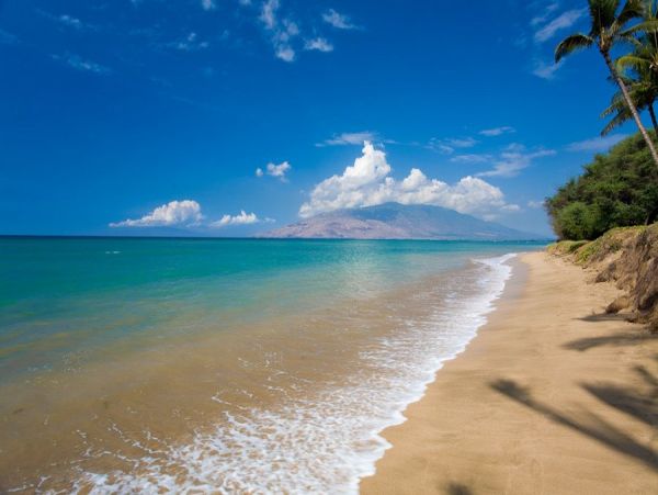 Wailea Home 990162