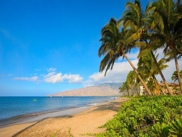 Wailea Home 990162