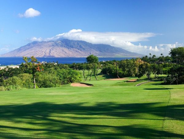 Wailea Home 990162