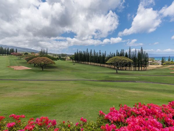 Short Walk to Beach Kapalua Vacation Villa Two Bedroom