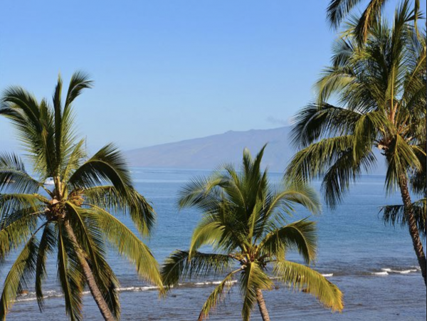 Lahaina Lovely Views Ocenfront