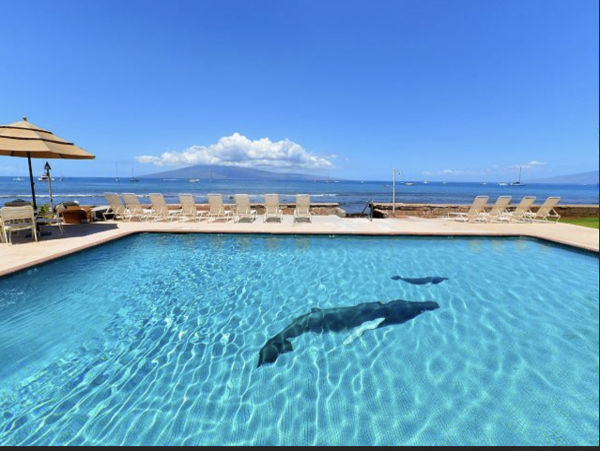 Lahaina Lovely Views Ocenfront