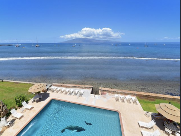 Lahaina Lovely Views Ocenfront