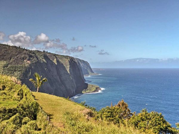 Kohala Coast Home 990166
