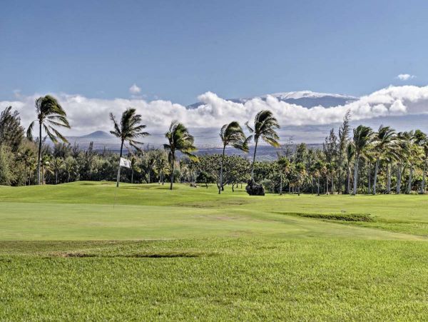 Kohala Coast Condo 990168