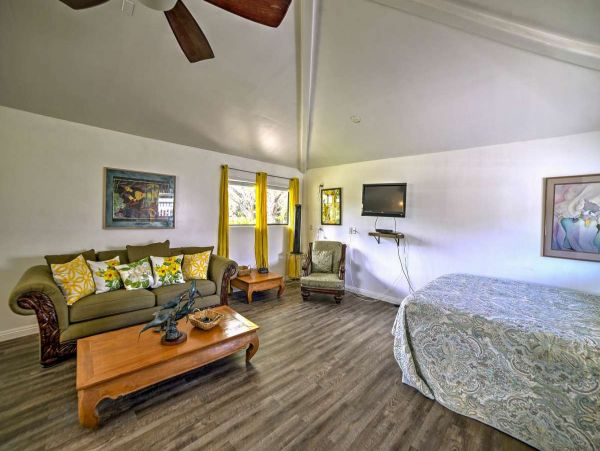 Kohala Coast Home 990173