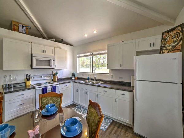 Kohala Coast Home 990173