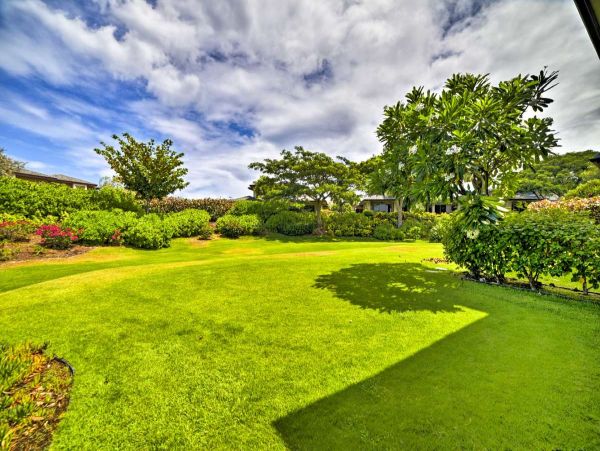 Kohala Coast Home 990182