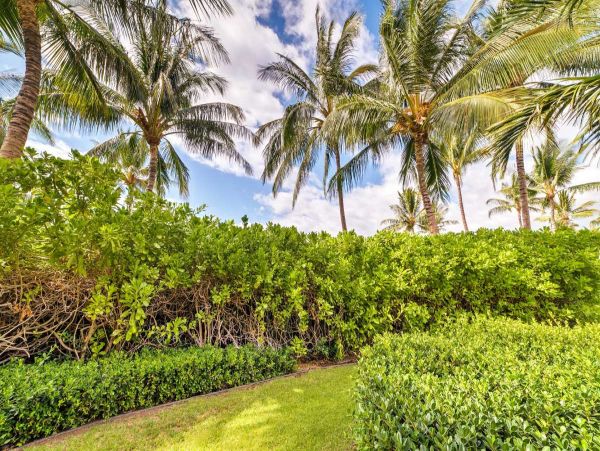 Kohala Coast Condo 990183