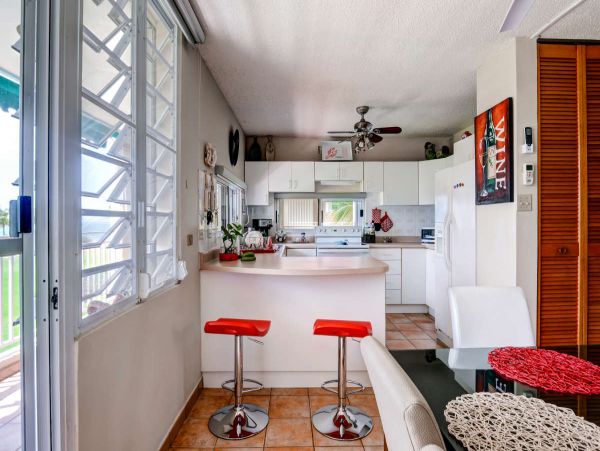 Puerto Rico Condo 990191