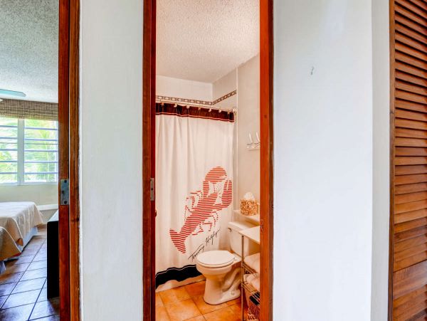 Puerto Rico Condo 990191