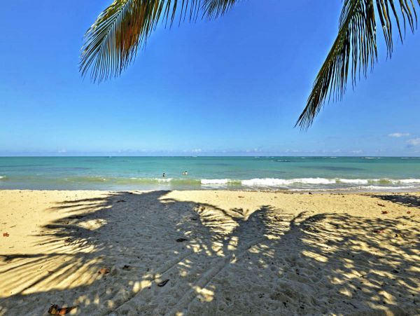 Puerto Rico Condo 990215
