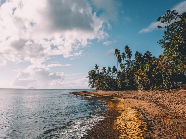 Puerto Rico Vacation Condo Two Bedroom Walk to Beach