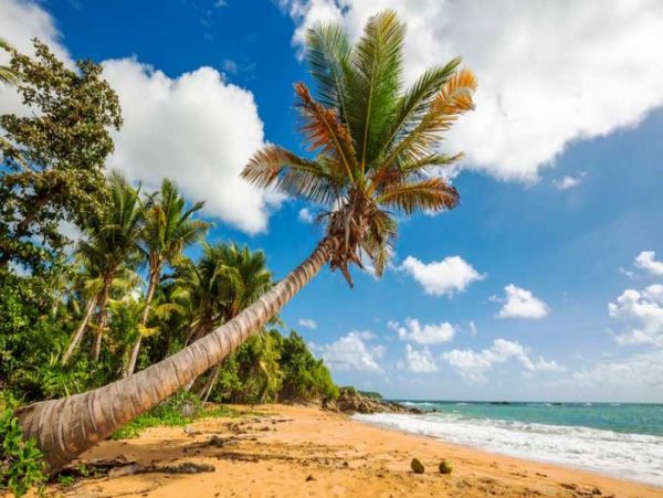 Puerto Rico Vacation Condo Two Bedroom Walk to Beach