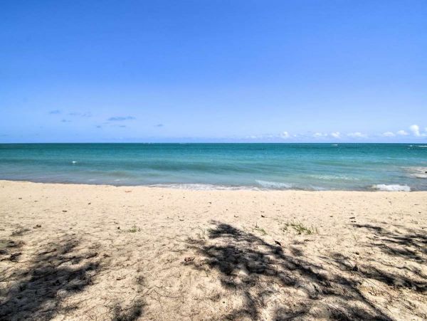 Puerto Rico Condo 990226