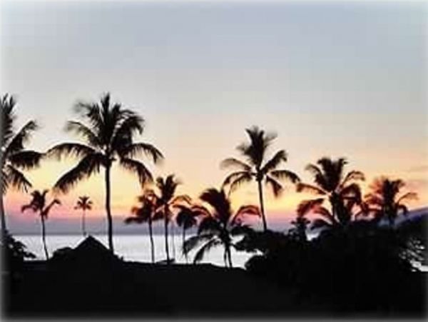 Lahaina Condo 990232