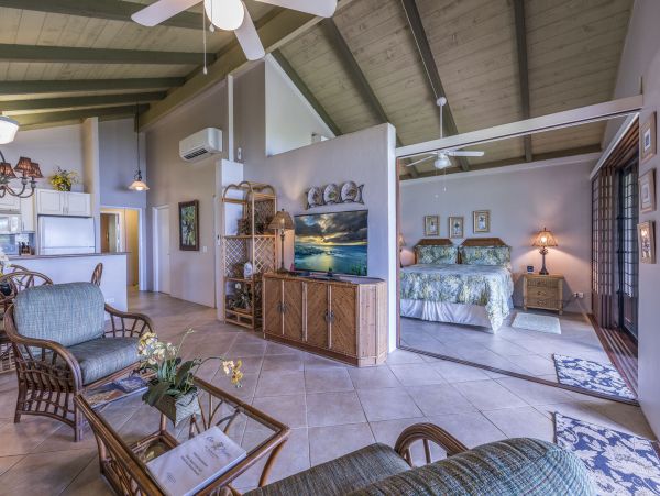 Lahaina Condo 990233