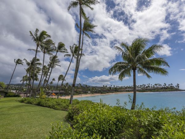 Lahaina Condo 990233