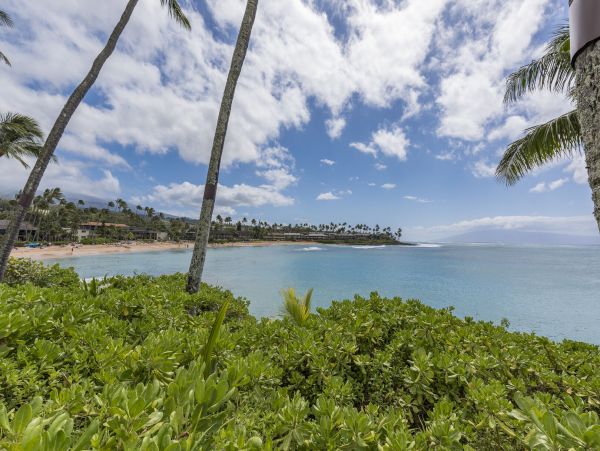 Lahaina Condo 990233