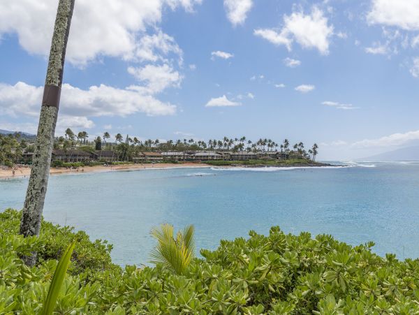 Lahaina Condo 990233