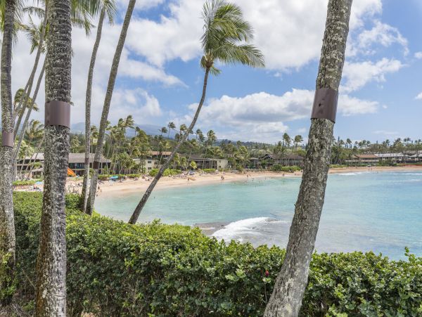 Lahaina Condo 990233