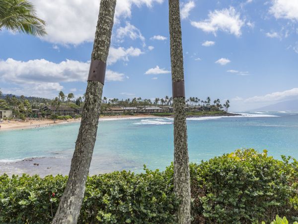 Lahaina Condo 990233