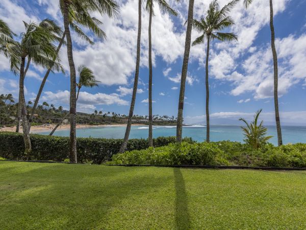 Lahaina Condo 990233