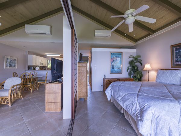 Lahaina Condo 990234