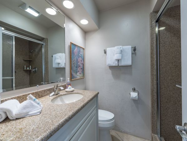 Lahaina Condo 990234