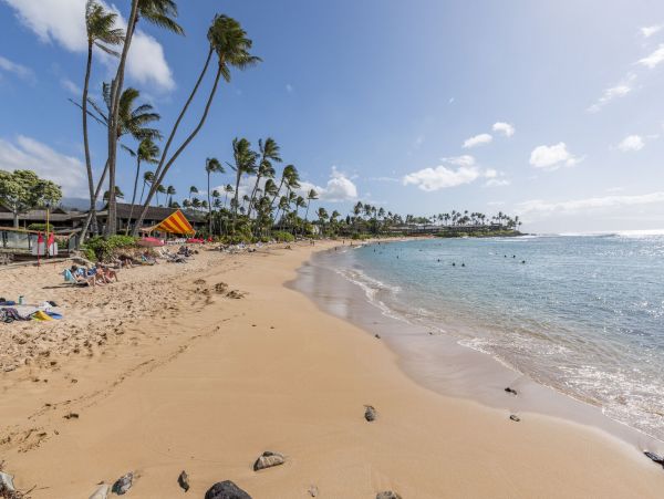 Lahaina Condo 990234