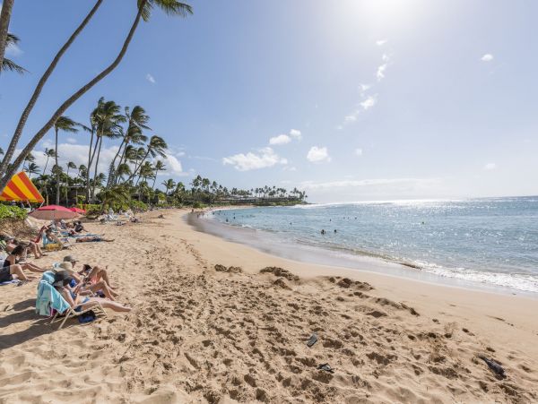 Lahaina Condo 990234
