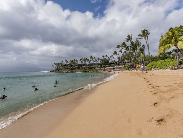 Lahaina Condo 990234