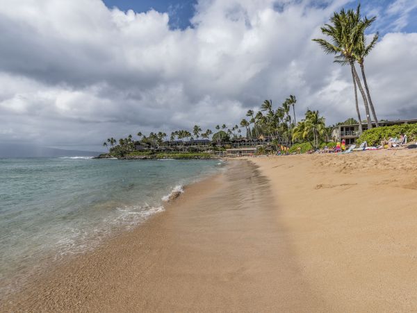 Lahaina Condo 990234