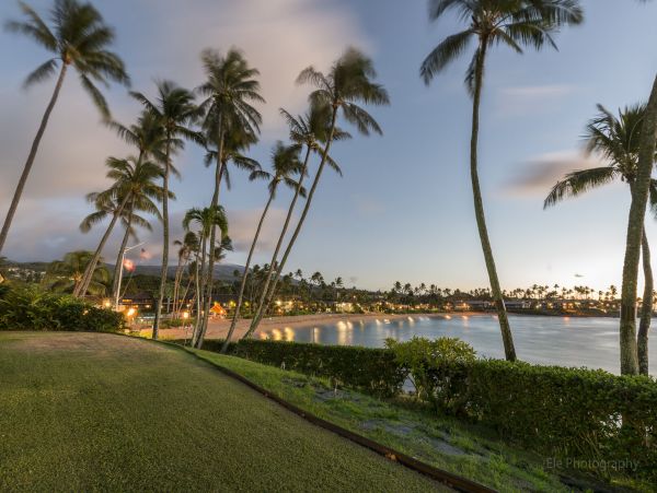 Lahaina Condo 990235