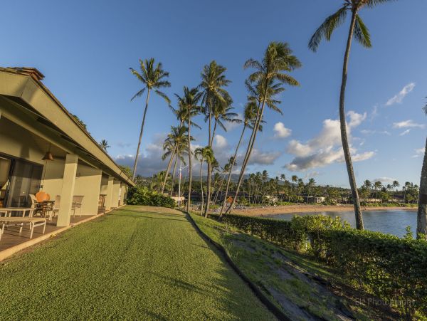 Lahaina Condo 990235