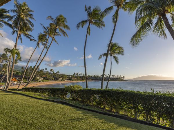 Lahaina Condo 990235