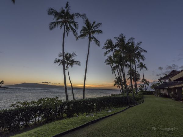 Lahaina Condo 990235