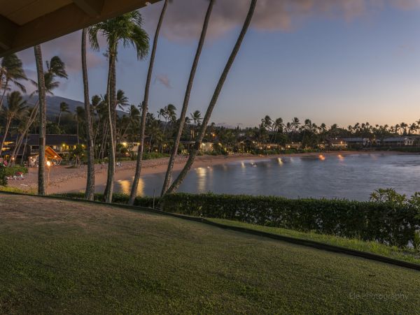 Lahaina Condo 990235