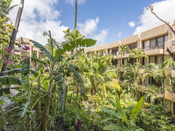 Kahana Condo 990236