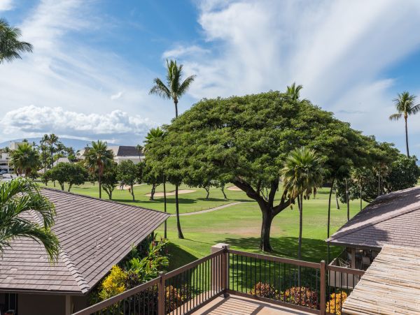 Kaanapali Condo 990240