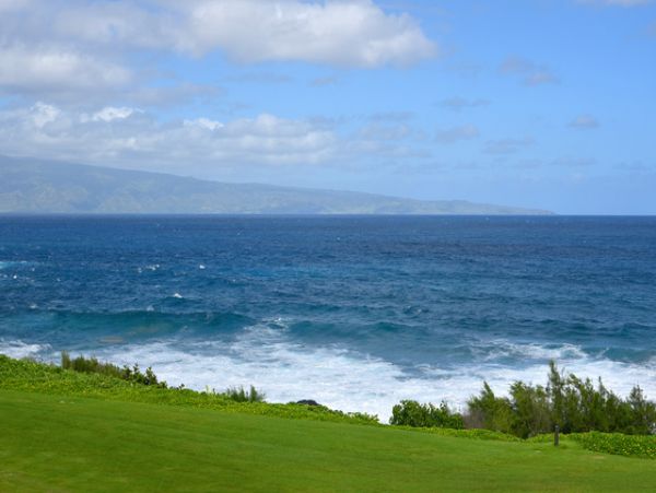 Kapalua Condo 990242