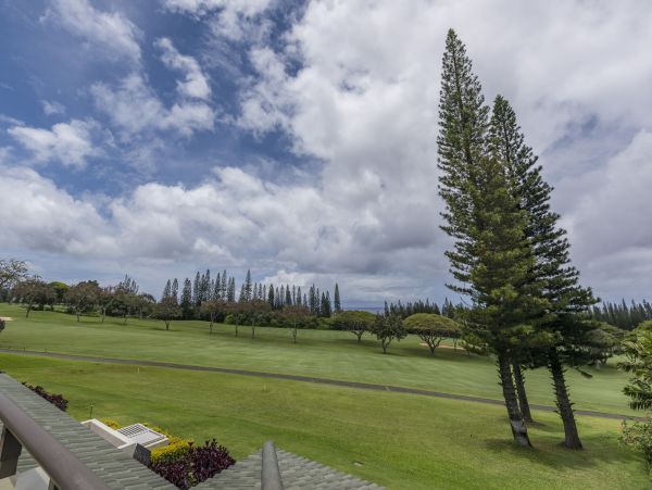 Kapalua Condo 990244