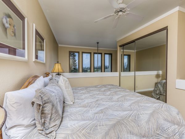 Kapalua Condo 990244